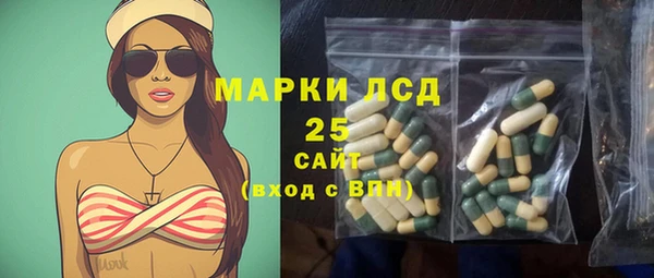 крисы Алексин