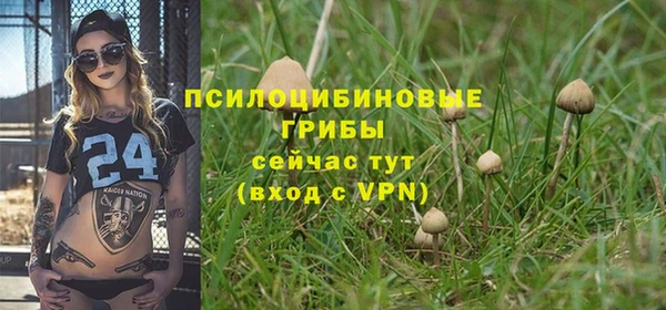 спайс Алзамай