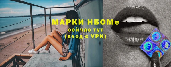 крисы Алексин