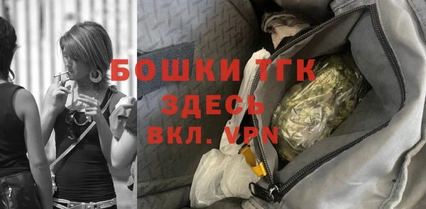 крисы Алексин