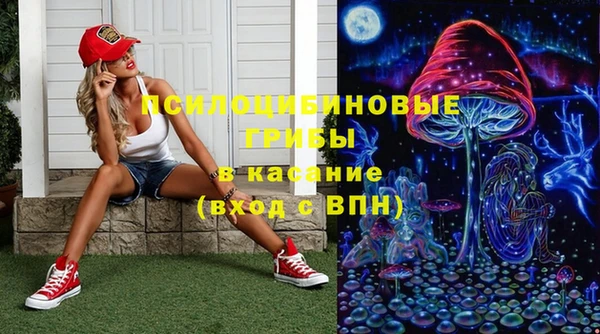 спайс Алзамай