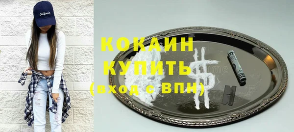 крисы Алексин